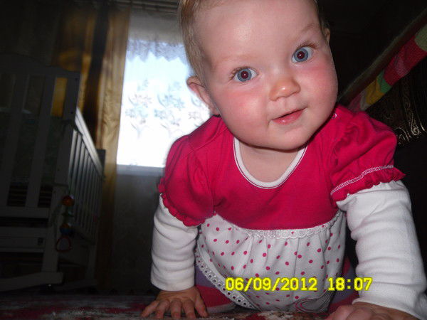 Аришка Голуб