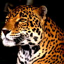 Алимжан Нариманулы