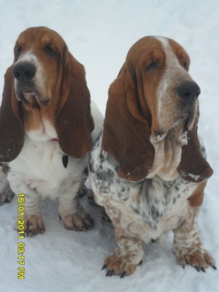 Вера Петришина