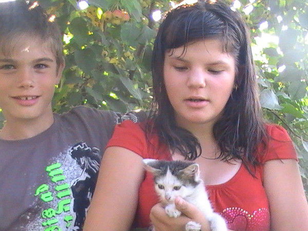 Королева Твоих Снов