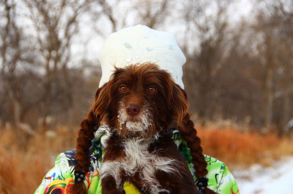 Даша Белова