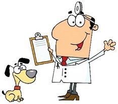 Светлана Дьяконова