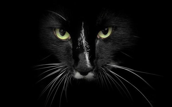 Ирина Ирина