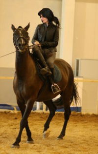 Елена Веревитина