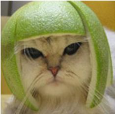 Жанна Катаева