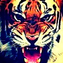 Жигер Сериков