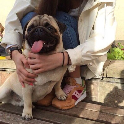 Кристина Морозова