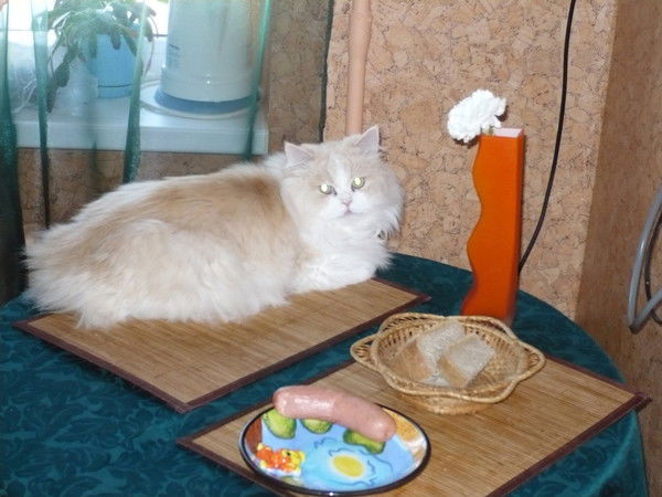 Андрей Червяков