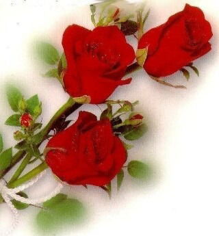 ***кенже*** $ Sezim $