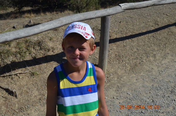 Роман Загляда