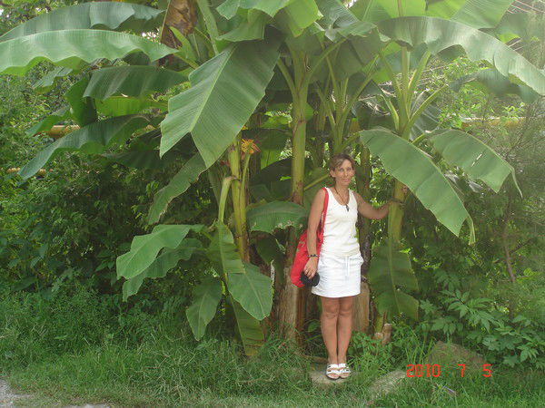 Елена Васильева