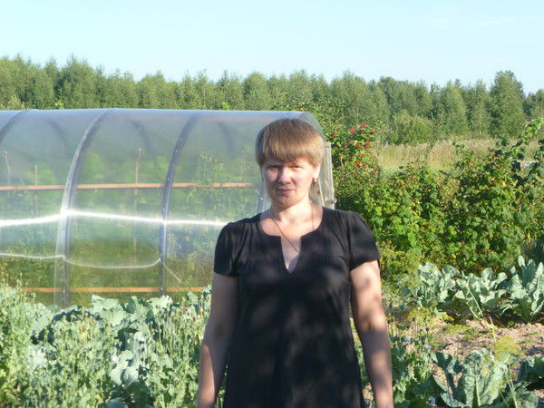 Елена Колосова