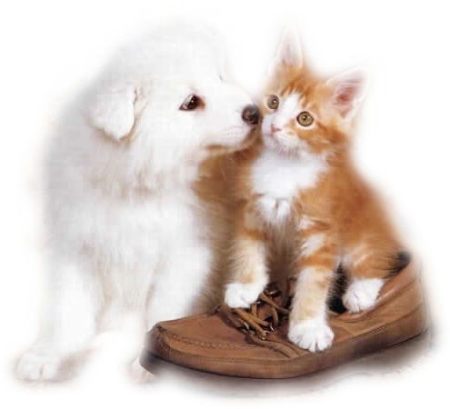 Наталия Капустина