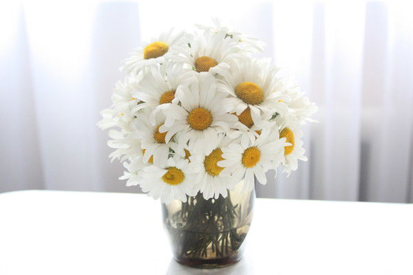 Лена Лиморенко