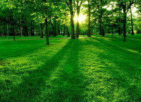 Вера Рябинина