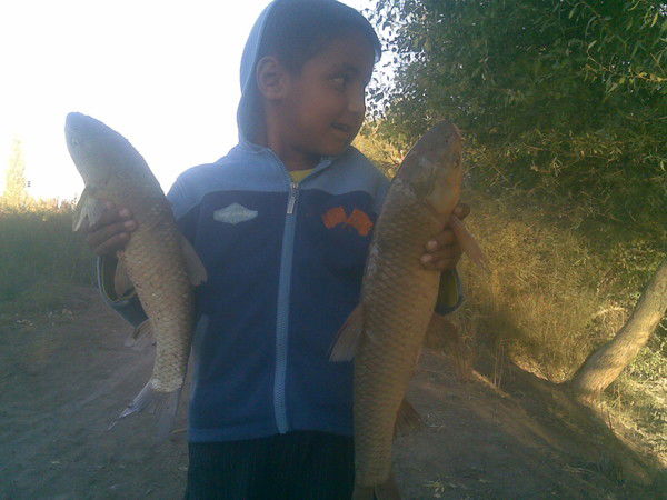 Давран Казаков