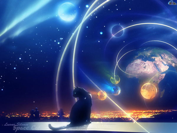 Светлана Ярошевская