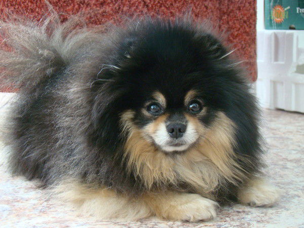 Федорова Светлана