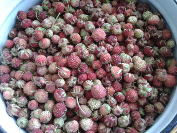 Летняя Ягодка