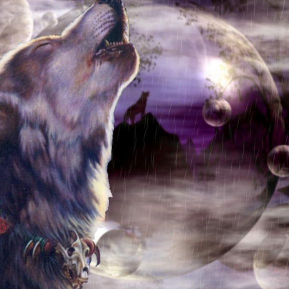 Антон Коломийцев