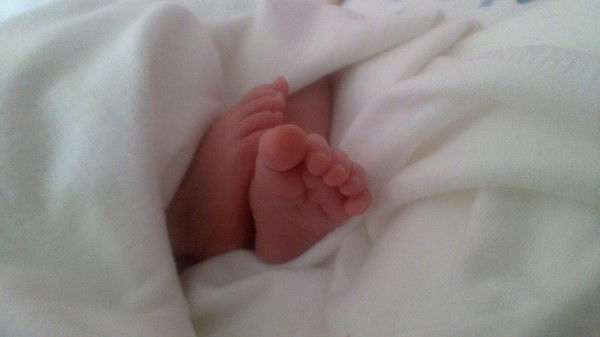 Елена Малышева