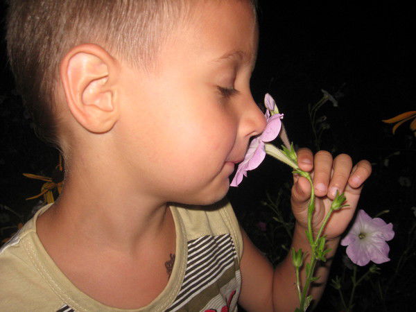 Люба Надточиева