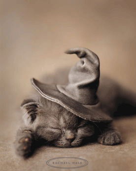 Лилия Хабибулина