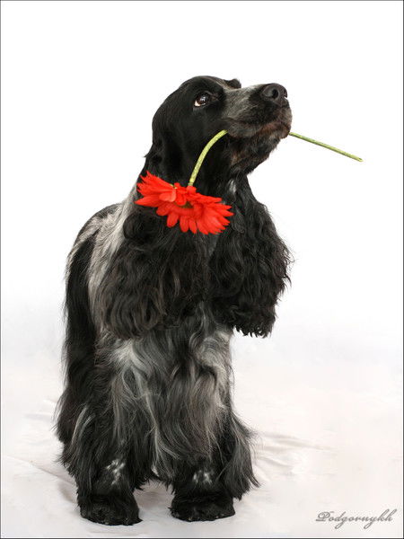 Татьяна Лодыгина