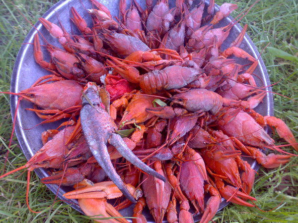 Рома Шумный