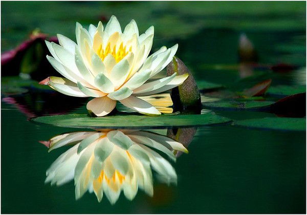 Лилия Загидуллина