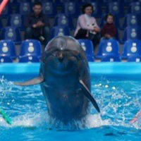 Мария Петрова