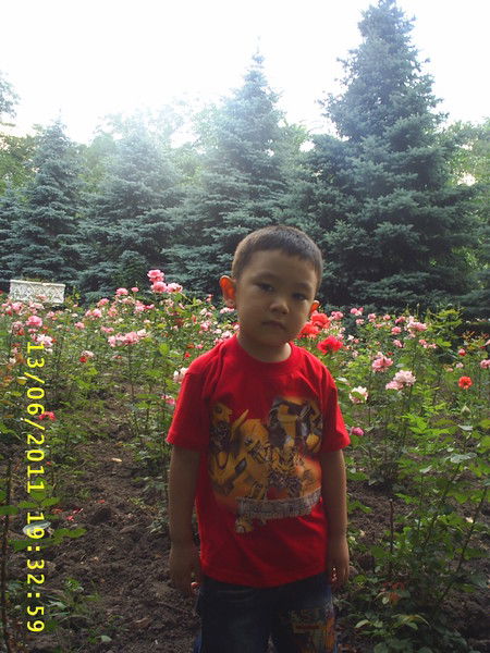 Дамира Жаркинбаева