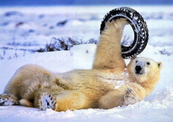 Михаил Михаил