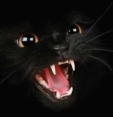 Эмилия Ларионова