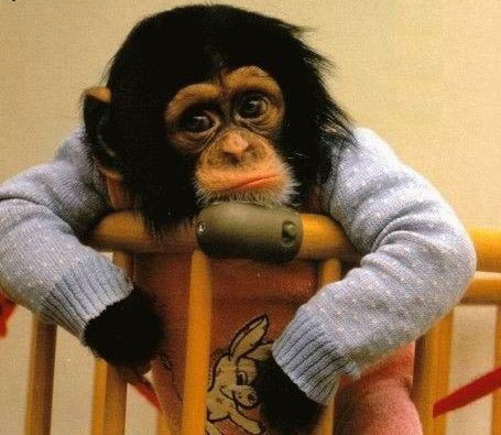 Юрий Потапов