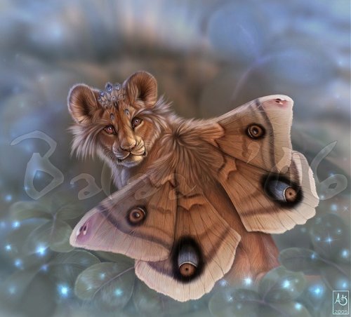 Настасья Федоровна