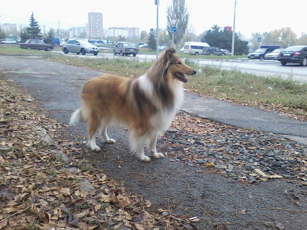 Ольга Лукашенко