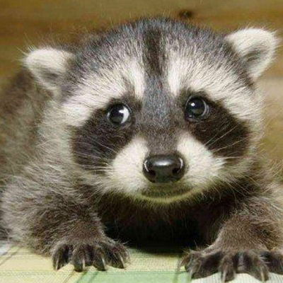 Леонид Мизяк