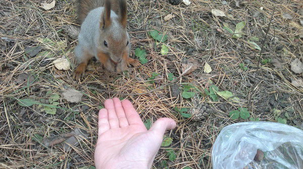 Вячеслав Ващенко