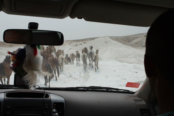 Кадиша Абишева