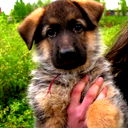 Наталья Лучникова