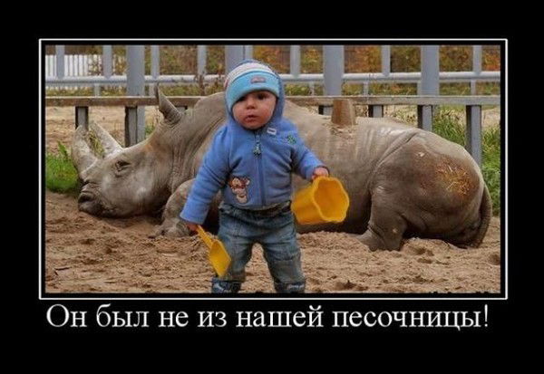 Анатолий Степовой