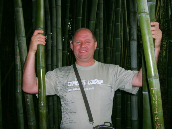 Александр Мирошкин