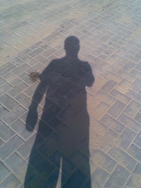 Александр Олейник