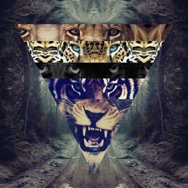 Санек Борисов