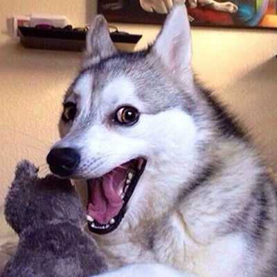 Данил Бронников