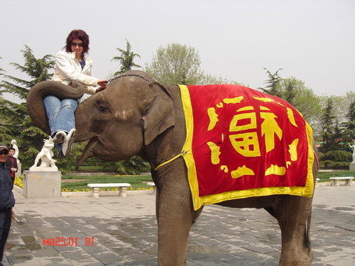 Tатьяна Саламатова