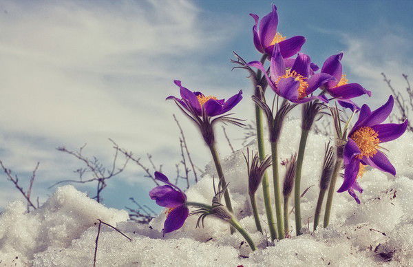 Татьяна Мочалова