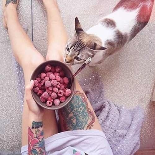 Алиса Гуляева