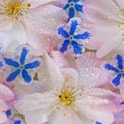 Венера Зайдуллина